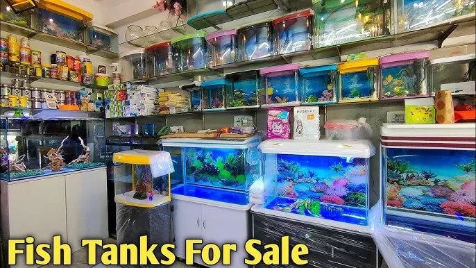 Aquariums &amp; Tanks