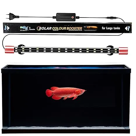 Buraq Solar Color Booster Aquarium Light for Large Tanks, 6700K Natural Spectrum, Fish Color Enhancement, LED Large Aquarium Light Suitable for 2Ft to 3Ft Tanks (BL - 60 | 2FT - 3FT)